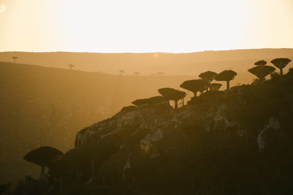 Cinematic horizon silhouettes over rocky escarpment with dramatic glow and soft atmospheric haze
