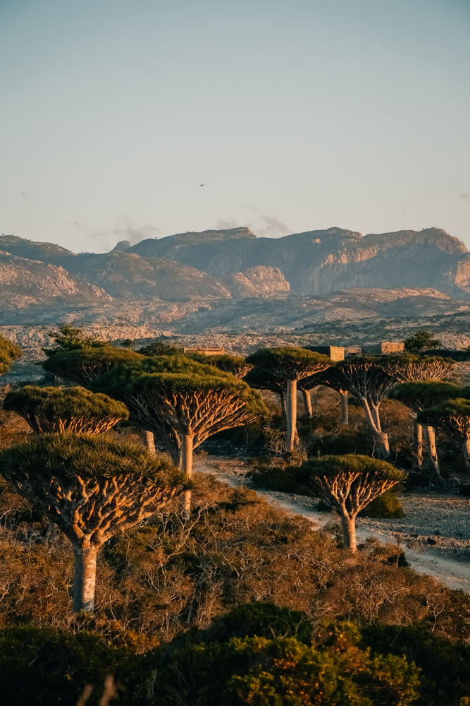 Soothing and undisturbed scenery showcasing faroff mountain summits bathed in gentle evening light