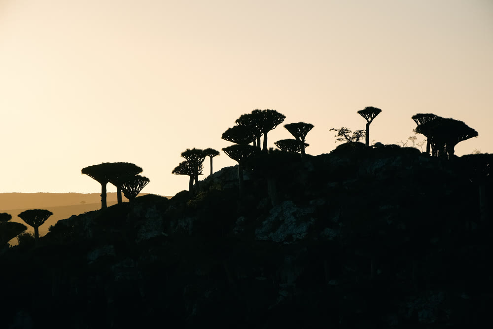 Minimalist plateau silhouettes against bright sky highlighting clean negative space and calm composition