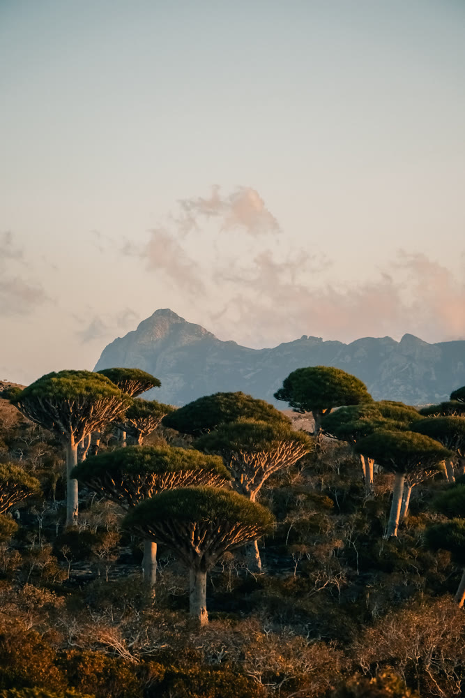 Twilight silhouettes with earth tones. Horizon filled with gentle slopes and shadowed valleys scene