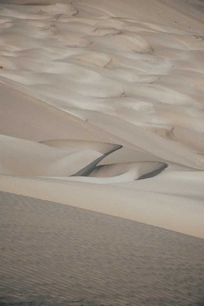 Minimalistic sandy landscape imagery. Soft sunlight accentuates textured dunes with shadows and ripples