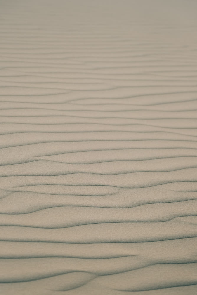 Tranquil image of windshaped sand waves with pale tones and graceful curves for artistic use