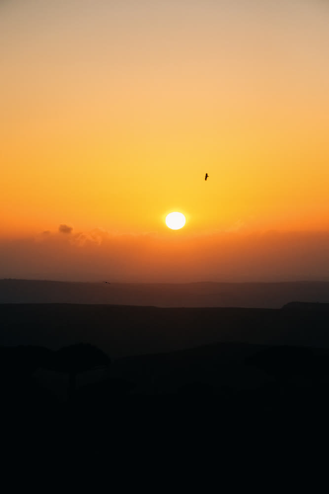 Gentle evening with flying bird. Peaceful twilight over expansive horizon featuring lone bird figure