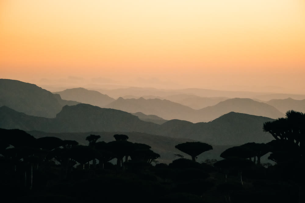 Mountain ranges merge into dusk fog while foreground botanical shapes create calm atmosphere for backgrounds