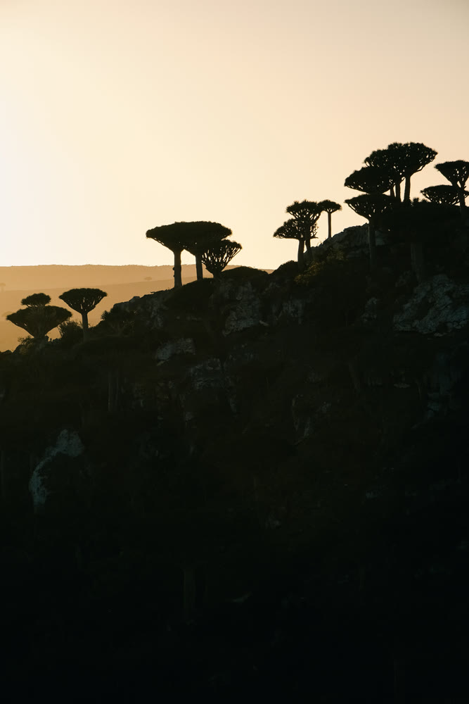 Vast shrubland valley with distant mountains and layered ridges offering scenic panorama and ecological depth